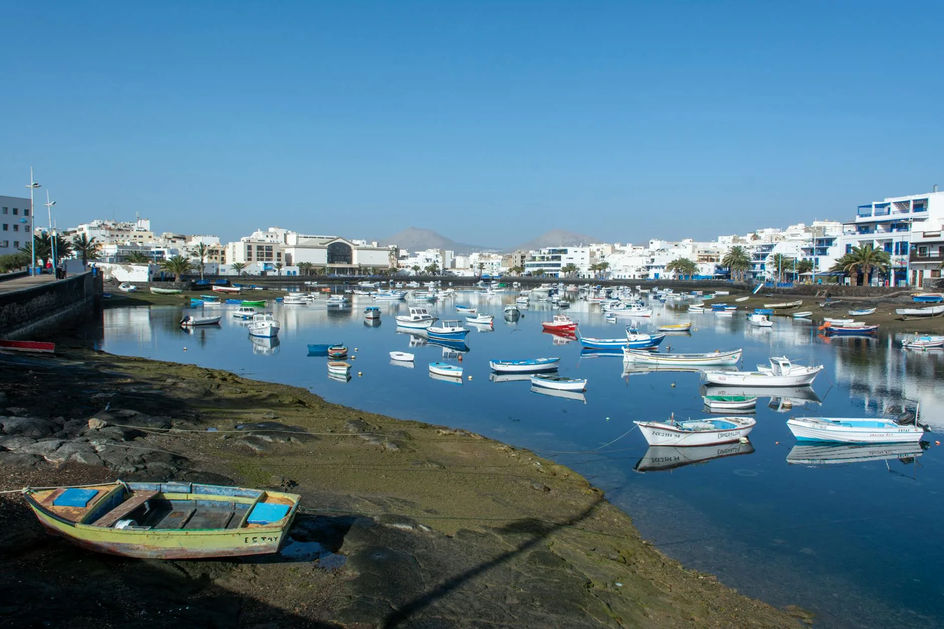 Le Charco de San Ginés : le cœur battant d'Arrecife