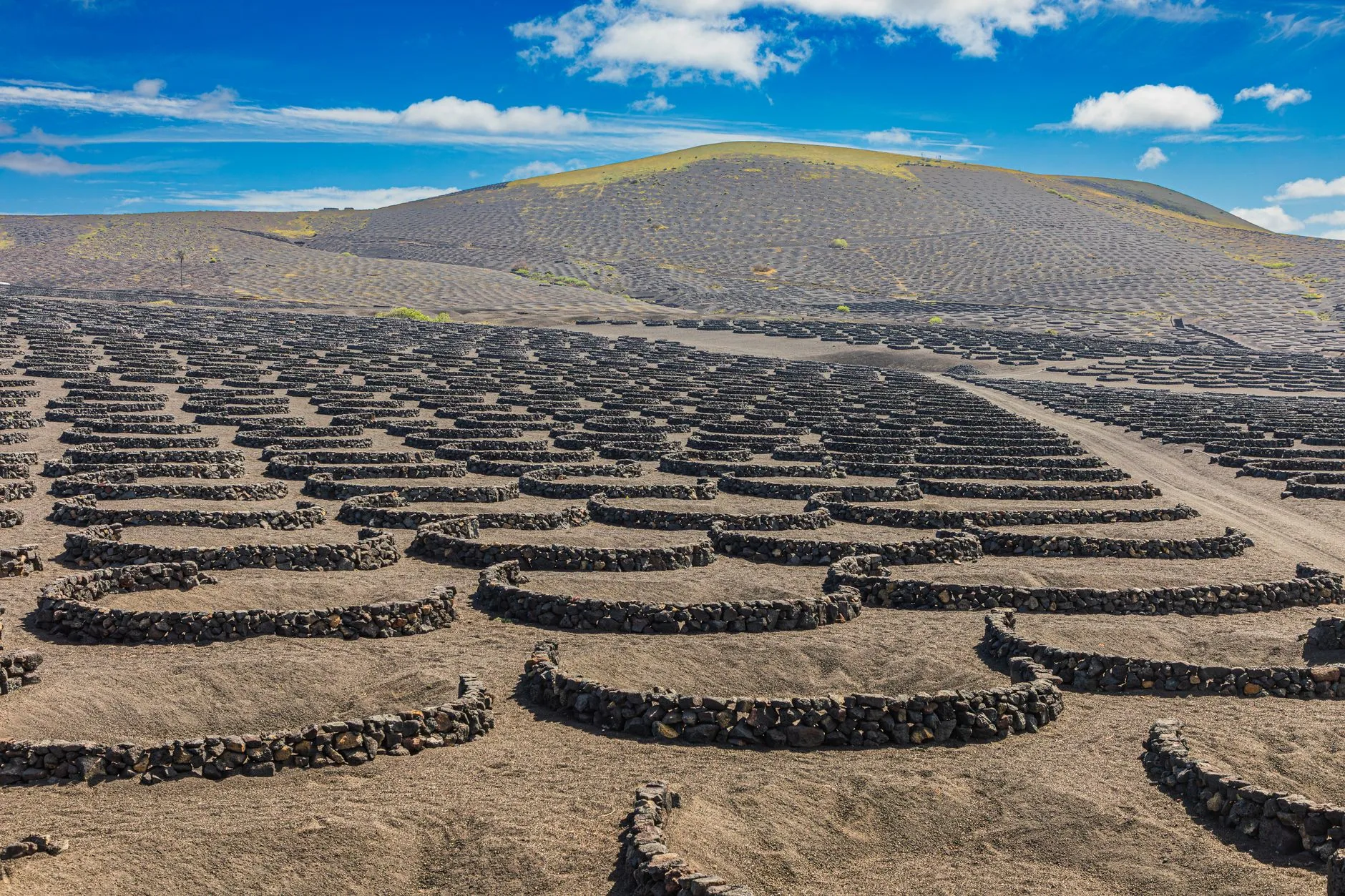 La Geria : les vignes dans les volcans