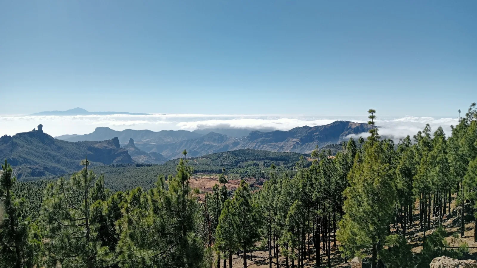 ️ Excursions depuis Maspalomas : explorer Gran Canaria