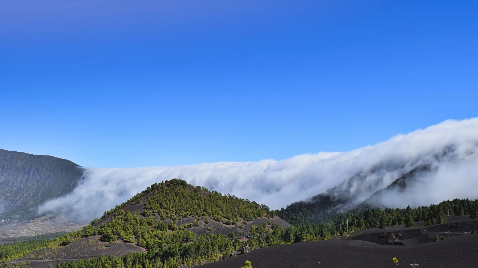 Les zones rurales et forestières : l'expérience unique de La Palma