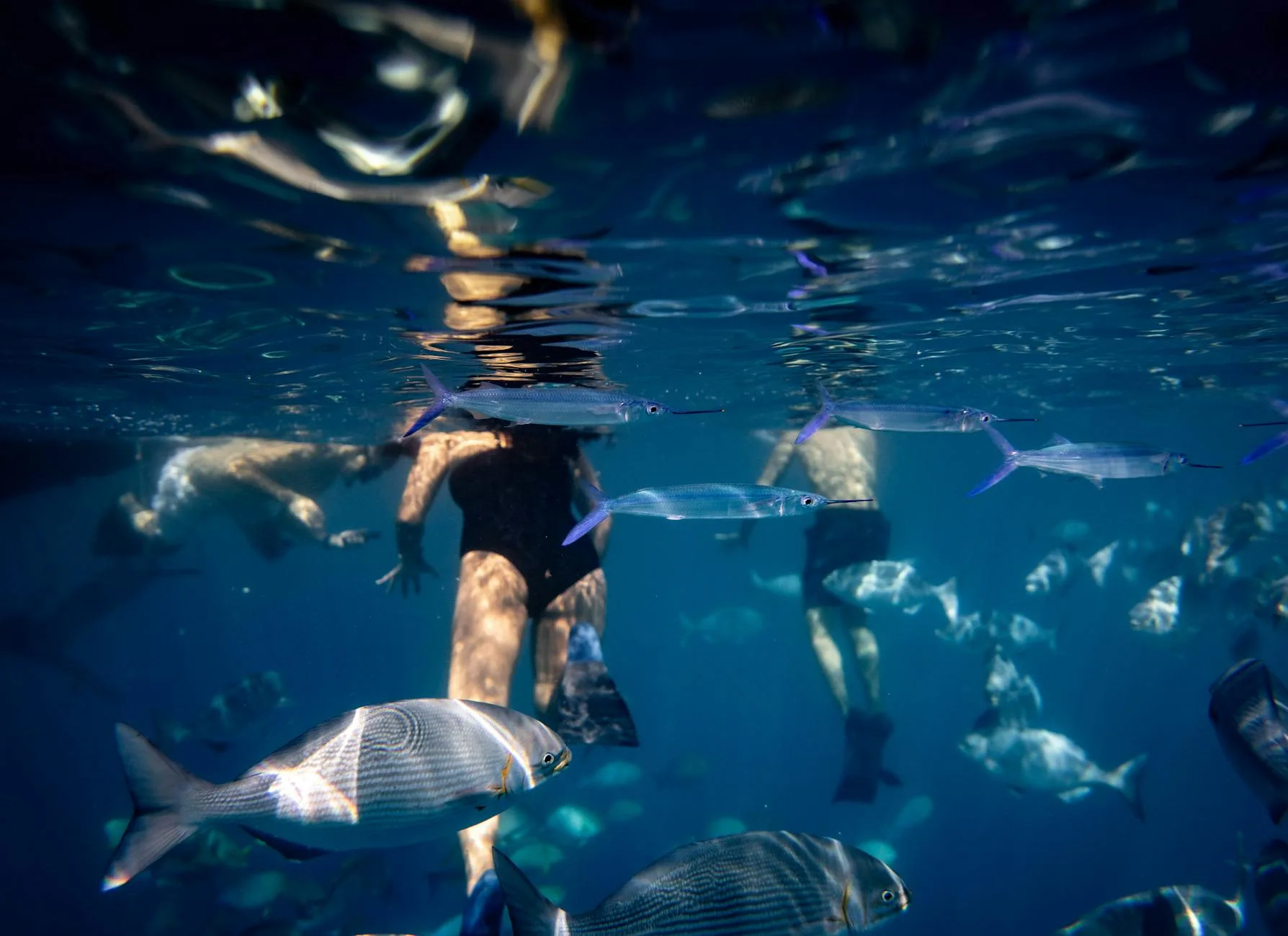 Snorkeling aux Canaries
