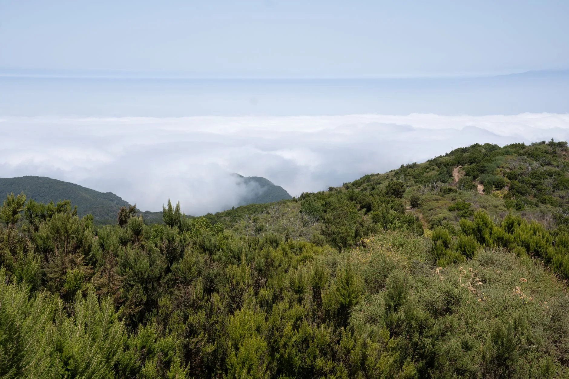 Jour 5 : La Gomera en ferry, ou Masca avec un accompagnement