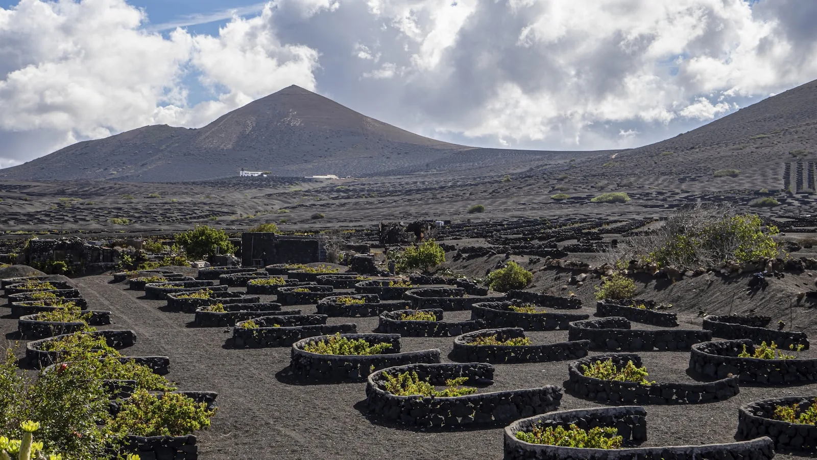 Un terroir volcanique unique